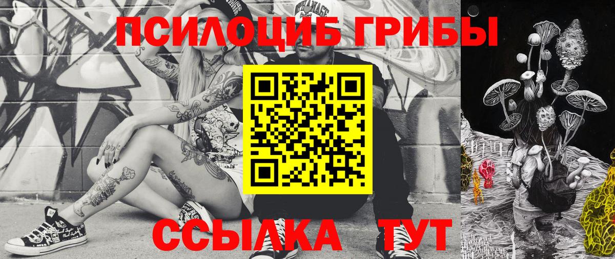где купить наркоту  Галлюциногенные грибы Psilocybine cubensis  Вход с VPN  Осинники 